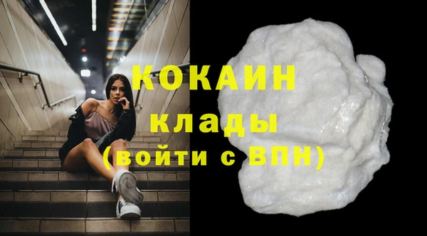 шишки Балахна