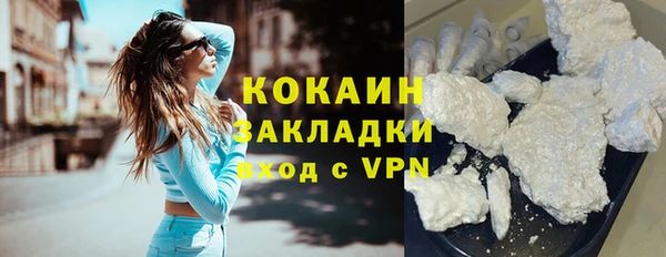 шишки Балахна